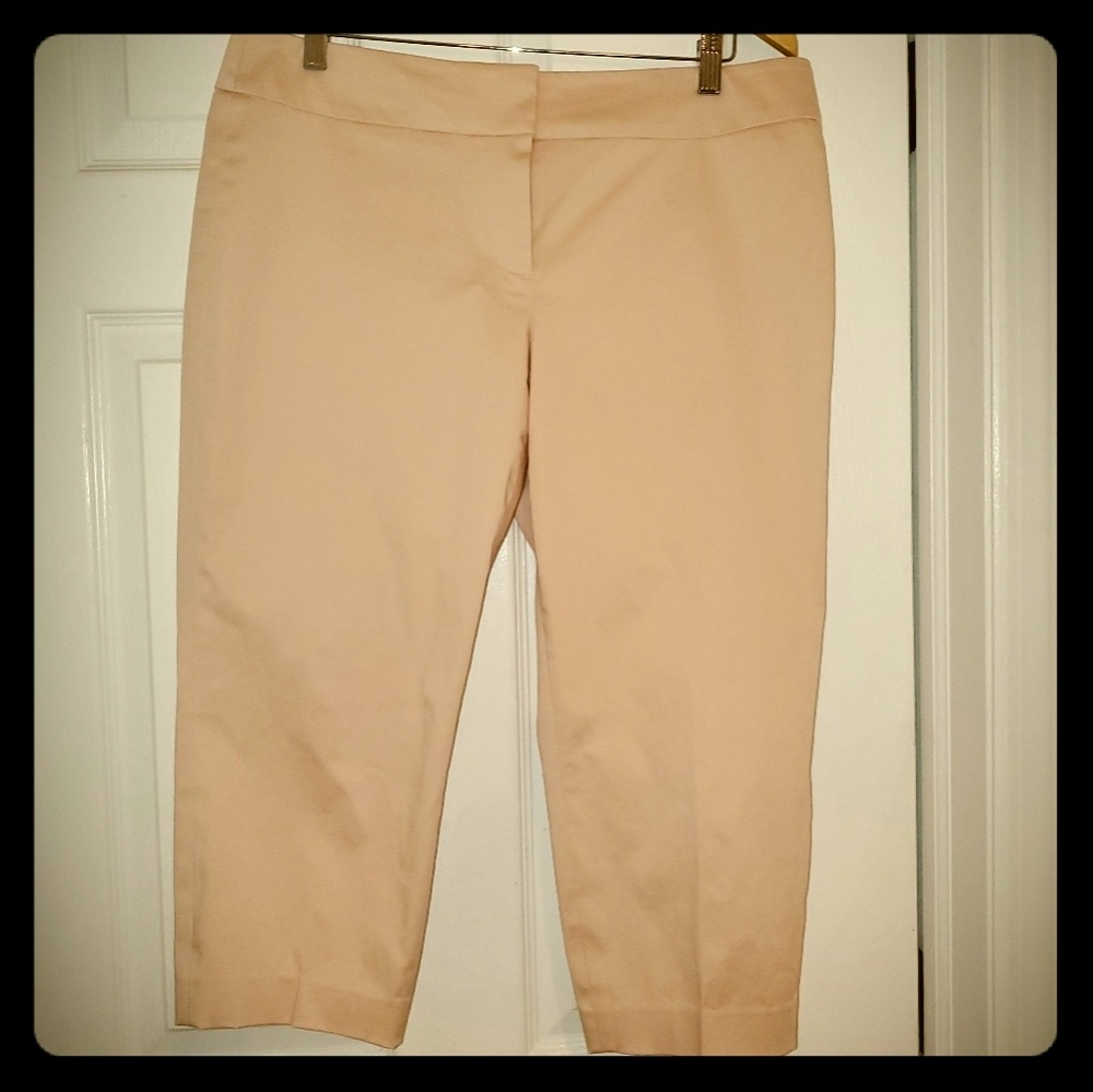 NWOT Perfect pink capri pants